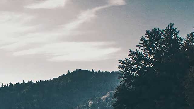 每日论金 | 短期见顶信号出现