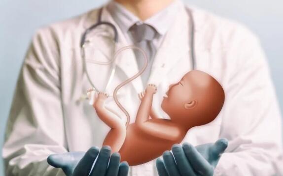 2024年去日本私立医院做试管混血婴儿得多少线