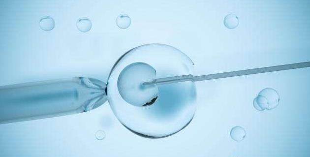 美国命试管婴儿中心冻胚鲜胚移植成功率在这里
