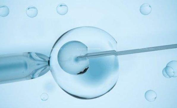 阴超显示双侧卵巢中只有5个窦卵泡还可以做试管婴儿吗