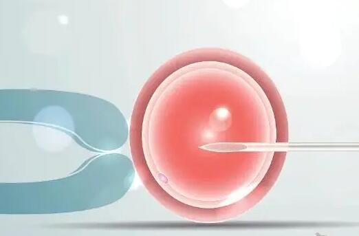 试管促排卵泡14mm是否符合正常标准，卵泡大小算正常的判断标准