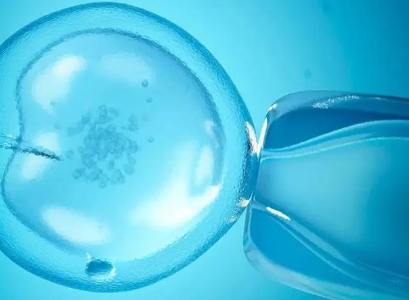 试管拮抗剂方案促排后移植鲜胚比冻胚成功率高吗