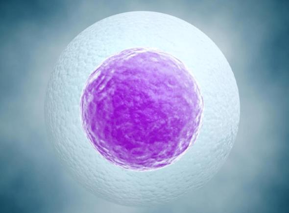 三代试管婴儿取8-12个卵的益处公开10个卵子满足需求