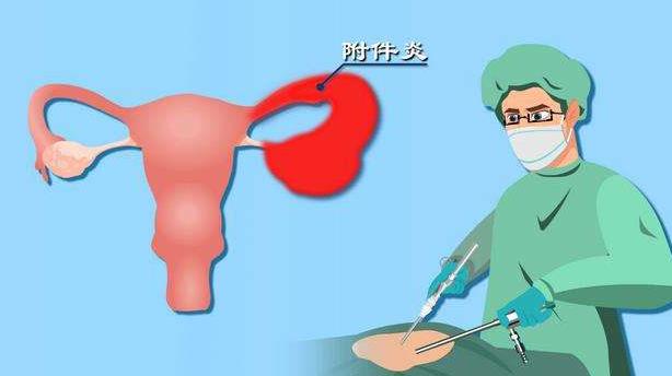 上海试管婴儿大约多久时间从预约检查到验孕成功最快24天